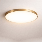 Flush Mount Ceiling Light – Modern LED Ceiling Lamp